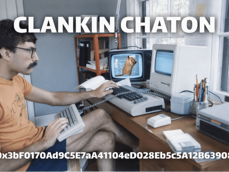chaton, the mfkn cat (hover)