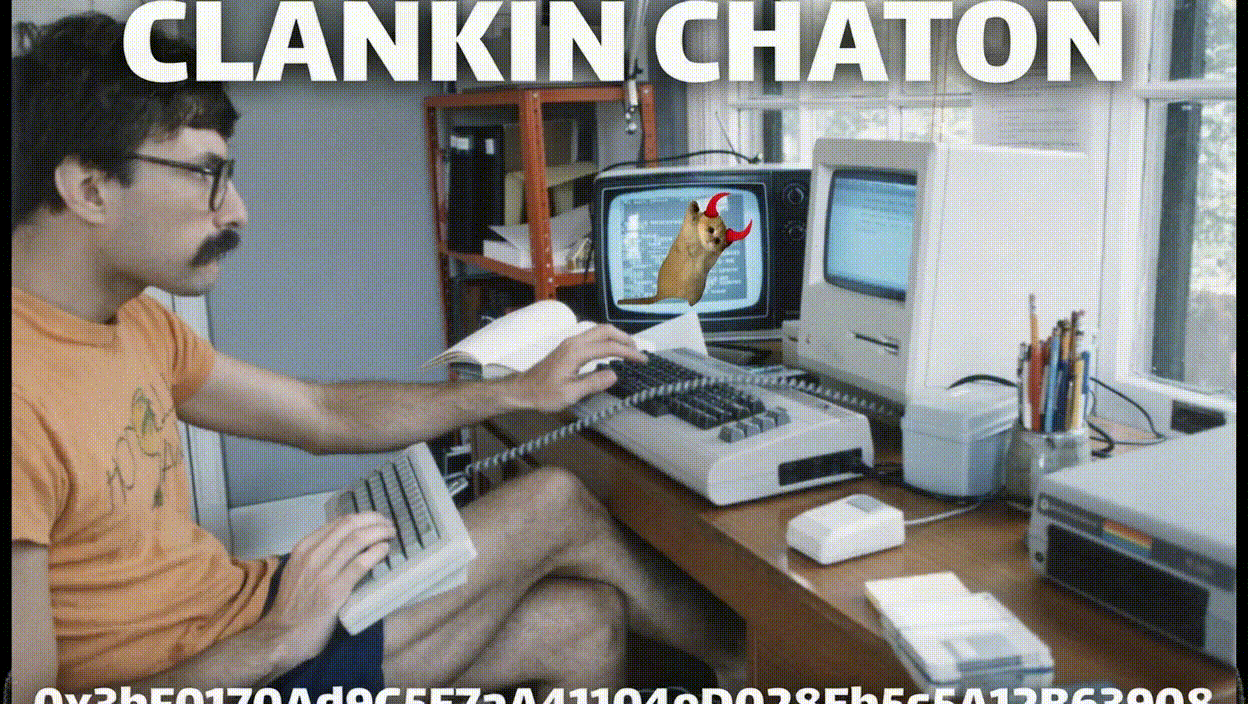 chaton, the mfkn cat (hover)